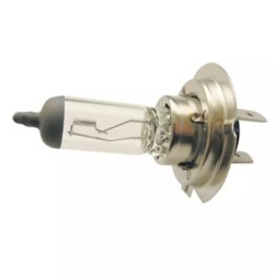LAMPE A IODE H7 12V 55W