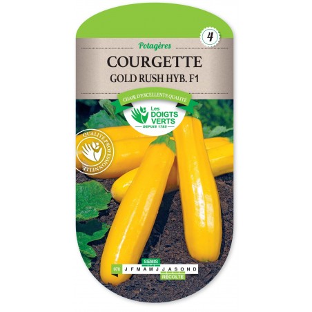 COURGETTE GOLD RUSCH HYB.F1 COURGETTE GOLD RUSCH HYB.F1
