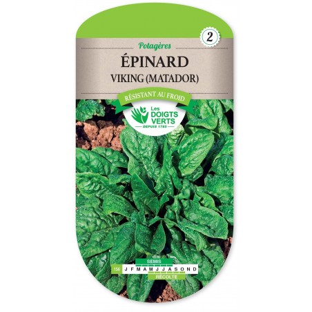 EPINARD VIKING MATADOR EPINARD VIKING MATADOR
