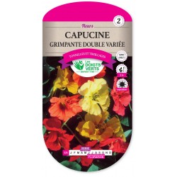 CAPUCINE GRIMPANTE DOUBLE VARIEE CAT2