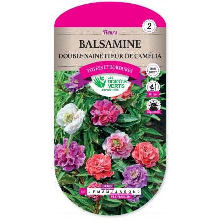 BALSAMINE DOUBLE NAINE FLEUR DE CAMELIA cat2 BALSAMINE DOUBLE NAINE FLEUR DE CAMELIA cat2