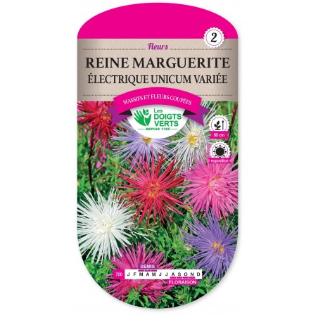 REINE MARGUERITE ELECTRIQUE UNICUM VARIEE cat2 REINE MARGUERITE ELECTRIQUE UNICUM VARIEE cat2