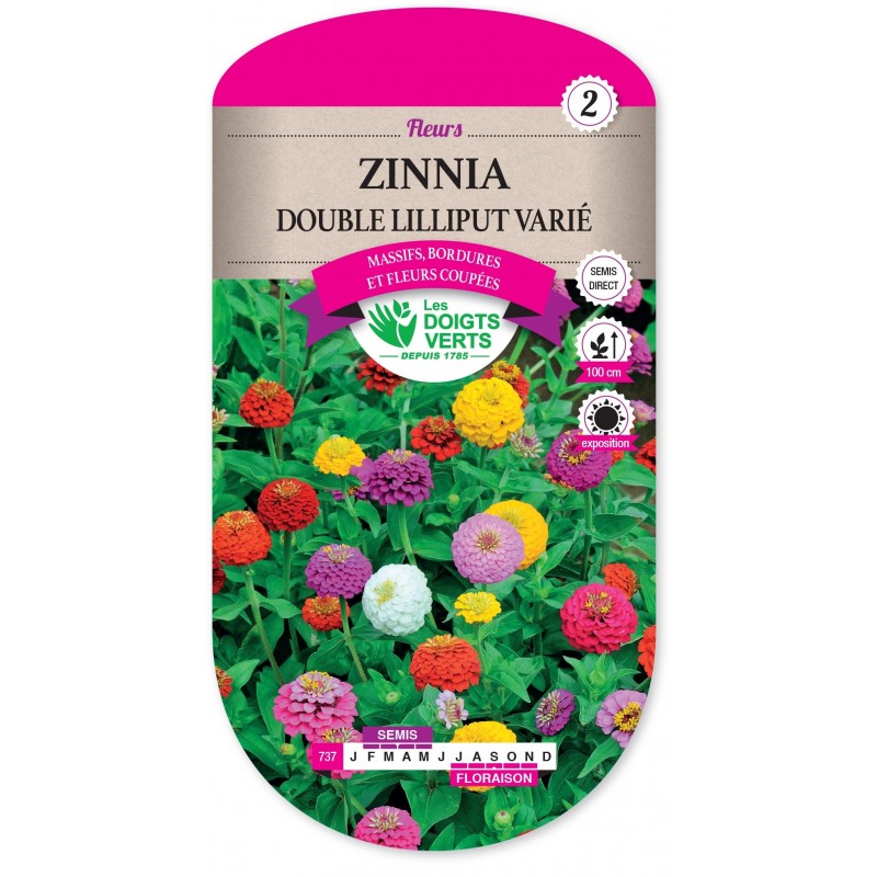 ZINNIA DOUBLE LILLIPUT VARIÉ cat2