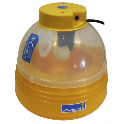 COUVEUSE OEUFS MANUELLE C6