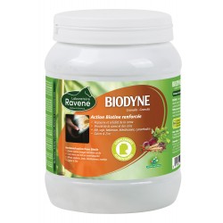 BIODYNE 1KG - RAVENE