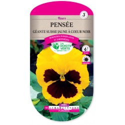 PENSEE GTE SUISSE JNE COEUR...