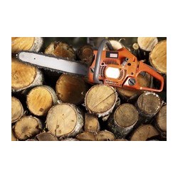 FORFAIT ENTRETIEN TRONCONNEUSE