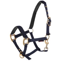 LICOL TOPLINE NAVY POULAIN...