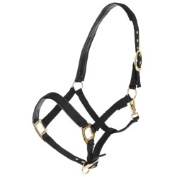 LICOL TOPLINE BLACK PONY -...