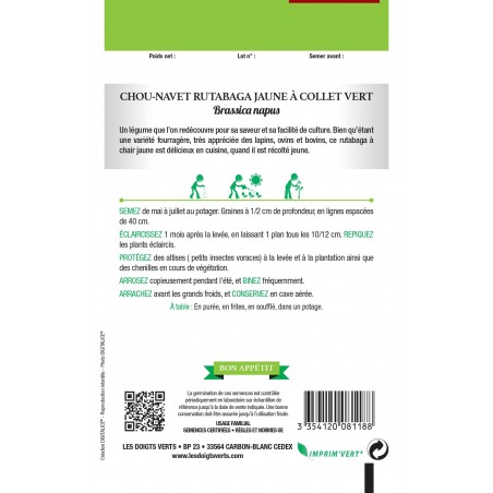 CHOU NAVET RUTABAGA JAUNE A COLLET VERT CHOU NAVET RUTABAGA JAUNE A COLLET VERT