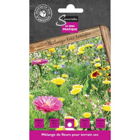 MELANGE DE FLEURS POUR TERRAIN SEC cat2 MELANGE DE FLEURS POUR TERRAIN SEC cat2