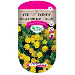 OEILLET D'INDE DOUBLE NAIN PETITE YELLOW cat2