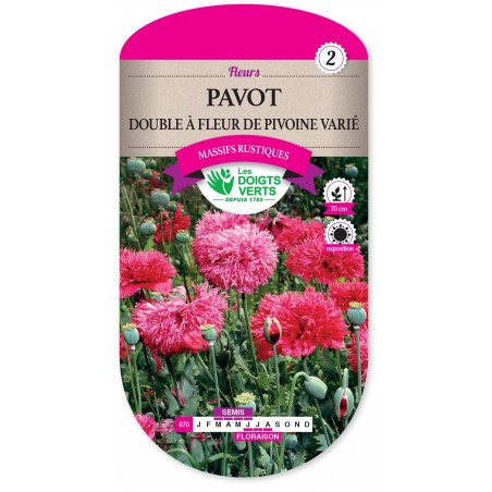 PAVOT DOUBLE A FLEUR DE PIVOINE VARIE cat2 PAVOT DOUBLE A FLEUR DE PIVOINE VARIE cat2
