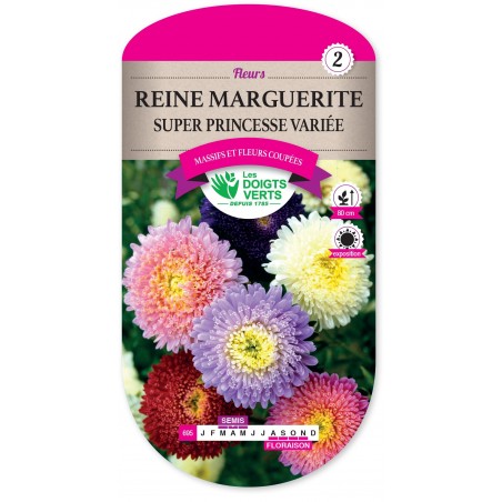 REINE MARGUERITE SUPER PRINCESSE VARIÉE cat2 REINE MARGUERITE SUPER PRINCESSE VARIÉE cat2