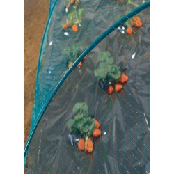 FILET DE PROTECTION OISEAUX...