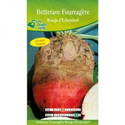 BETTERAVE FOURR.ROUGE...
