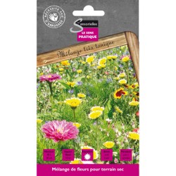 FLEURS POUR JACHERE TERRAIN...