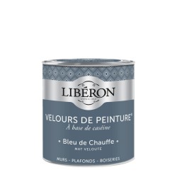 VELOURS DE PEINTURE BLEU DE...
