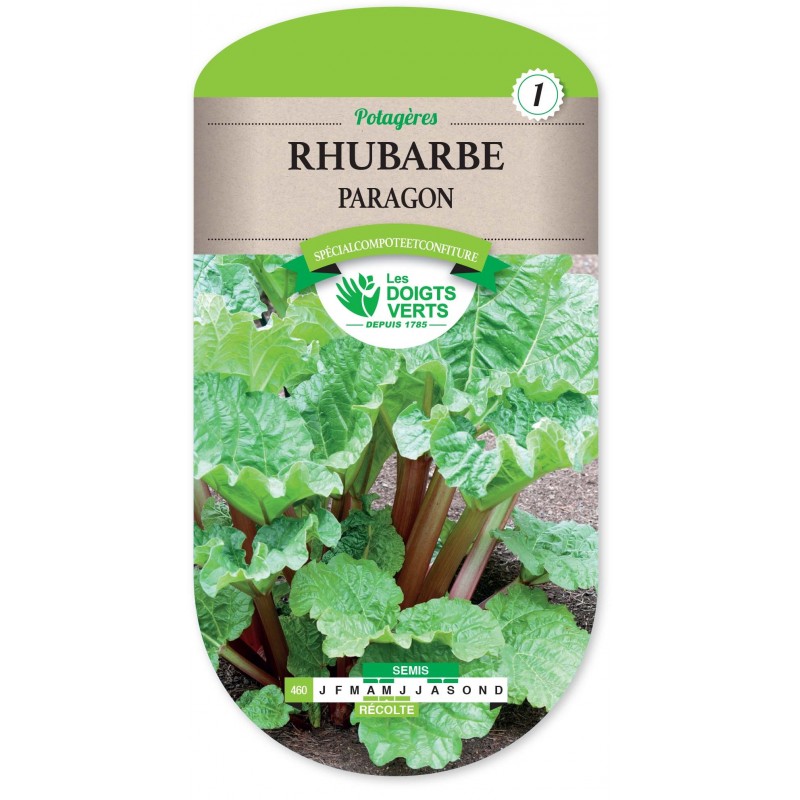 RHUBARBE CAT 1