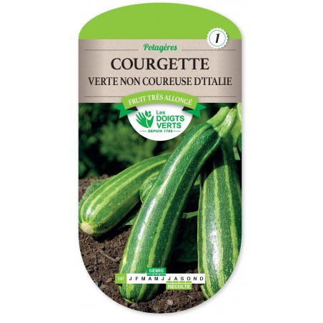 COURGETTE D'ITALIE NON COUREUSE cat1 COURGETTE D'ITALIE NON COUREUSE cat1