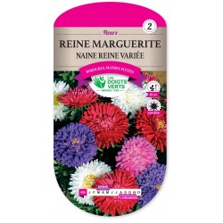 REINE MARGUERITE NAINE REINE VARIEE cat2