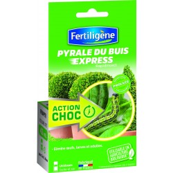 PYRALE DU BUIS RAPIDINSECT...