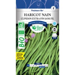 HARICOT NAIN CUPIDON...