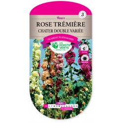 ROSE TREMIERE CHATER DBLE...