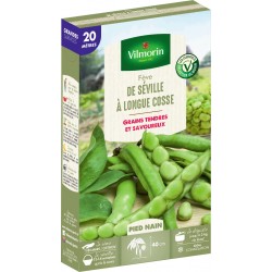 FÈVE DE SÉVILLE LONGUE...