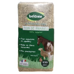 FOIN DE PRAIRIES 100%...
