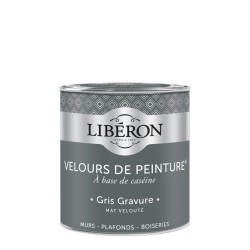 VELOURS DE PEINTURE GRIS...