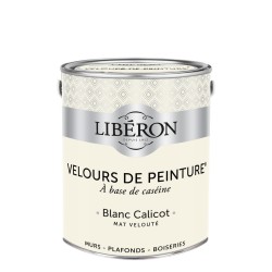 VELOURS DE PEINTURE BLANC...