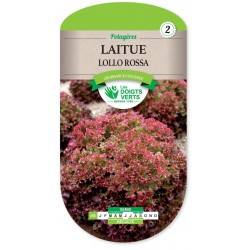 LAITUE FRISEE HIVER LOLLO ROSSA CAT 2