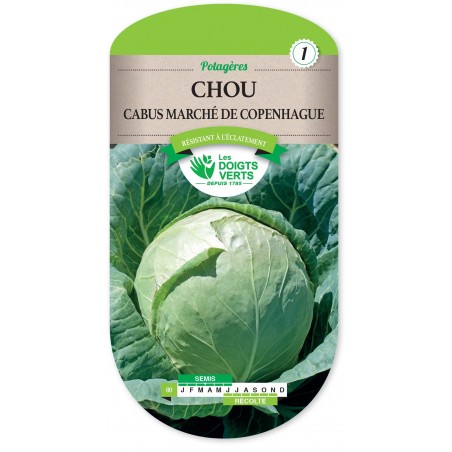 CHOU MARCHE DE COPENHAGUE CHOU MARCHE DE COPENHAGUE