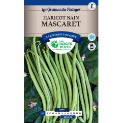 HARICOT NAIN MASCARET 200GR CATE