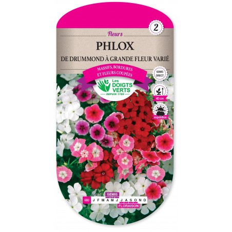 PHLOX DE DRUMMOND GRANDE FLEUR VARIE cat2