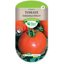 TOMATE FANDANGO HYBRIDE F1...