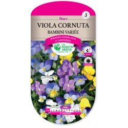 VIOLA CORNUTA BAMBINI VARIEE