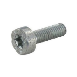 VIS CYLINDRIQUE IS M5x16...