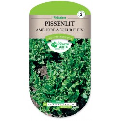 PISSENLIT AMELIORE A COEUR PLE cat2