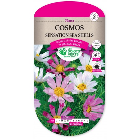 COSMOS SENSATION SEA SHELLS CAT3