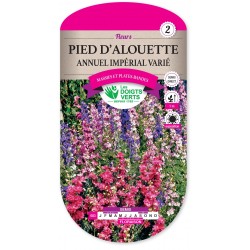PIED D ALOUETTE ANNUEL IMPERIAL VARIE cat2