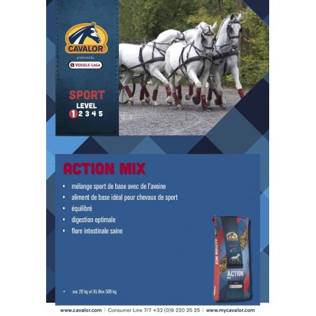 ALIMENT CHEVAL ACTION MIX 20KG