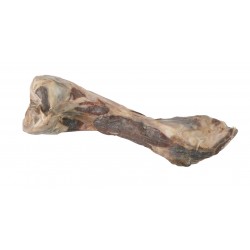 Os de jambon italien