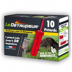 PETARDS POUR DETAUPEUR X10