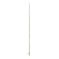 TUTEURS BAMBOU NATUREL 1.5M...