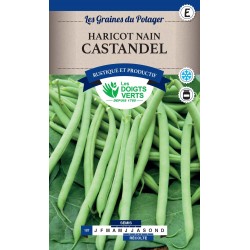 HARICOT NAIN CASTANDEL 200GR catE