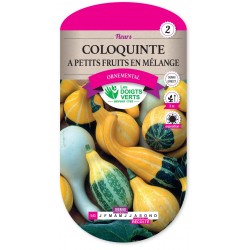 COLOQUINTE A PETITS FRUITS EN MELANGE cat2