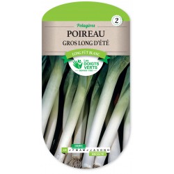 POIREAU GROS LG D ETE DU MIDI