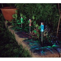 BALISE SOLAIRE A PLANTER -...